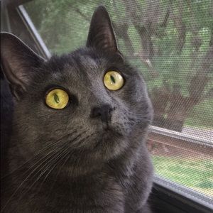 Meet your Posher, Baylee